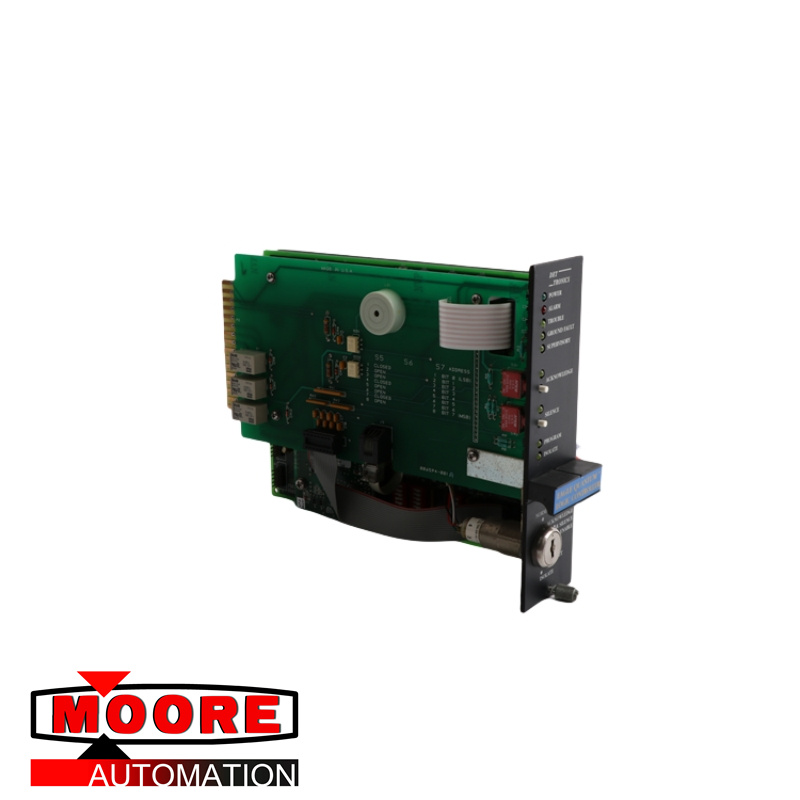 MODULE BỘ ĐIỀU KHIỂN LOGIC DET-TRONICS EQ2100LC