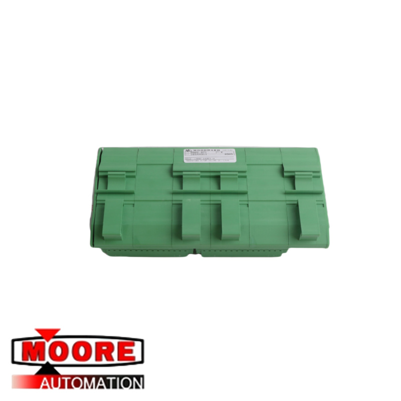 MODULE ĐẦU VÀO RÁC BIỆT WOODWARD 9905-971