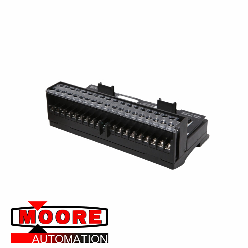 KHỐI ĐẦU CUỐI I/O GE IC670CHS101C